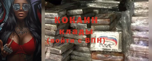 кокс Алексин