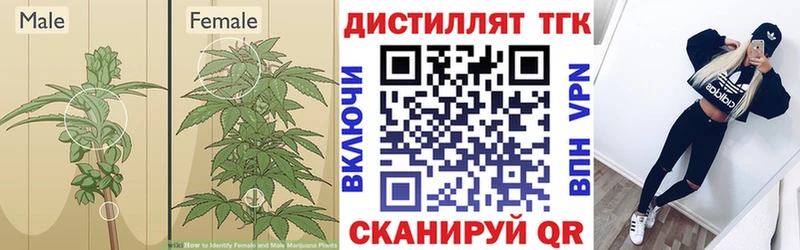 ТГК концентрат  Новоаннинский 