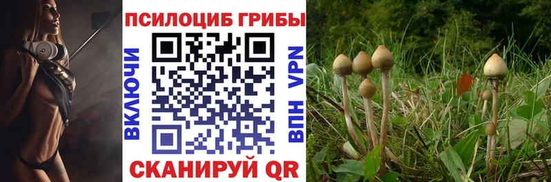 купить наркотики цена  площадка клад  Псилоцибиновые грибы мухоморы  Новоаннинский 